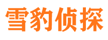 大城侦探公司